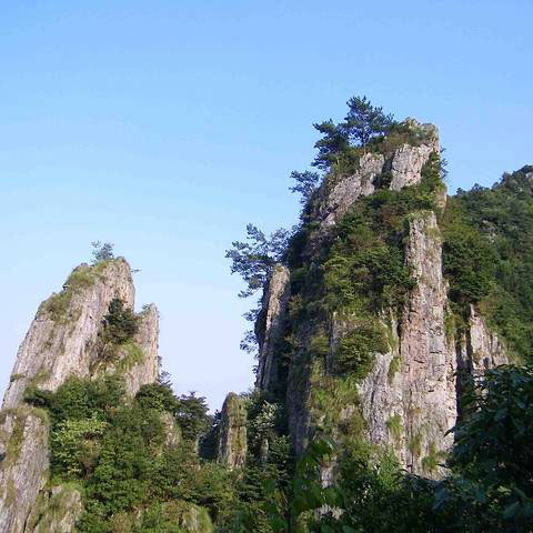 科技護(hù)林，走進(jìn)‘清涼峰’